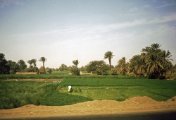 egypt111.jpg