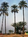egypt428.jpg