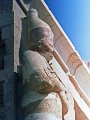 HAT_egypt368.jpg