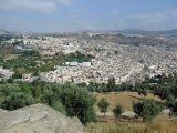 IMG_6598.JPG