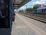 IMG_5686.JPG