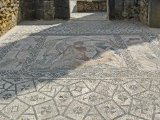 IMG_6719.JPG