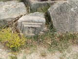 IMG_6728.JPG