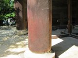 IMG_2818.JPG