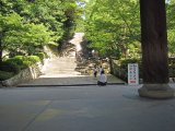 IMG_2819.JPG