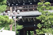 IMG_7395.JPG