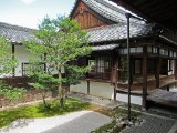 IMG_2770.JPG