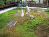 IMG_2774.JPG