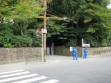 IMG_2884.JPG