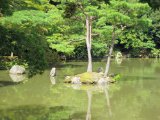 IMG_2900.JPG