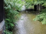 IMG_2742.JPG