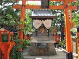 IMG_2748.JPG