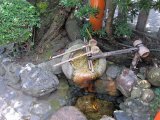 IMG_2751.JPG