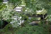 IMG_7321.JPG