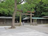 IMG_2537.JPG