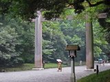 IMG_2599.JPG