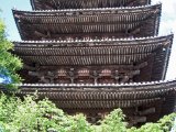 IMG_2847.JPG