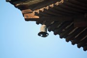 IMG_7475.JPG