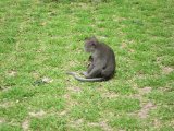 IMG_1604.JPG