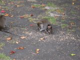 IMG_1606.JPG