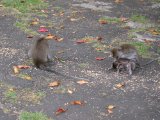 IMG_1607.JPG