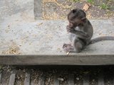 IMG_1610.JPG