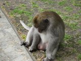 IMG_1611.JPG