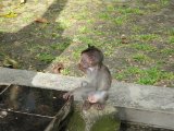 IMG_1612.JPG