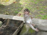 IMG_1614.JPG