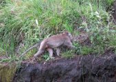 IMG_1018.JPG