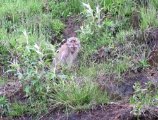 IMG_1019.JPG