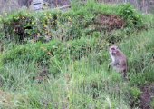 IMG_1021.JPG