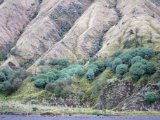 IMG_1027.JPG