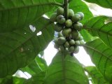 IMG_1204.JPG