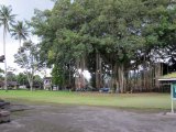IMG_0791.JPG