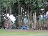 IMG_0792.JPG