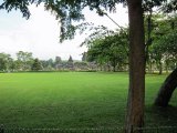 IMG_0655.JPG
