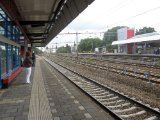 IMG_3730.JPG