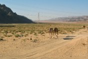 IMG_4858.JPG