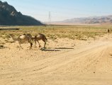 IMG_4859.JPG