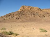 IMG_4869.JPG