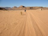 IMG_4876.JPG