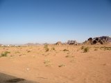 IMG_4878.JPG