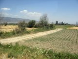 IMG_3446.JPG