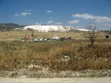 IMG_3455.JPG