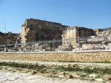 IMG_3483.JPG