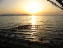 IMG_3179