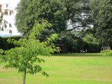 IMG_2741.JPG