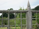 IMG_2746.JPG