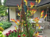 IMG_2809.JPG